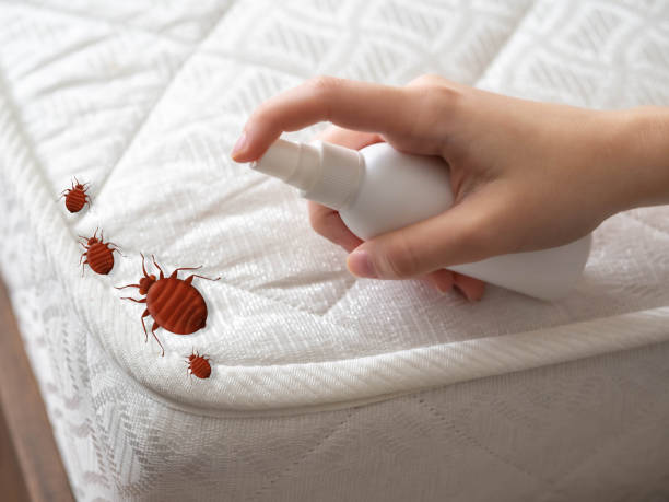 Best Commercial Pest Control Services  in Halsey, OR